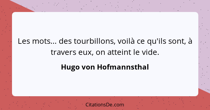 Les mots... des tourbillons, voilà ce qu'ils sont, à travers eux, on atteint le vide.... - Hugo von Hofmannsthal