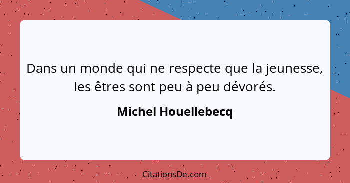 Dans un monde qui ne respecte que la jeunesse, les êtres sont peu à peu dévorés.... - Michel Houellebecq