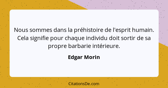 Nous sommes dans la préhistoire de l'esprit humain. Cela signifie pour chaque individu doit sortir de sa propre barbarie intérieure.... - Edgar Morin