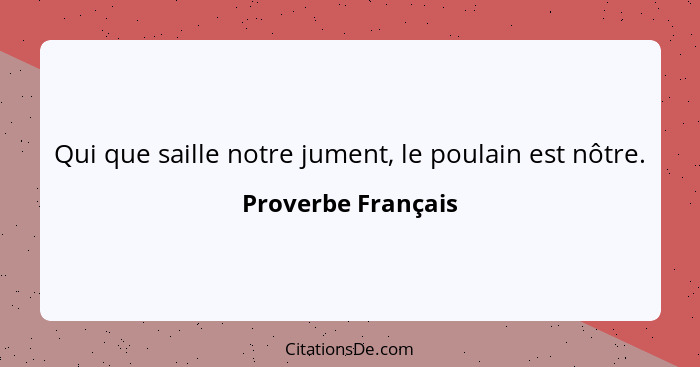 Qui que saille notre jument, le poulain est nôtre.... - Proverbe Français