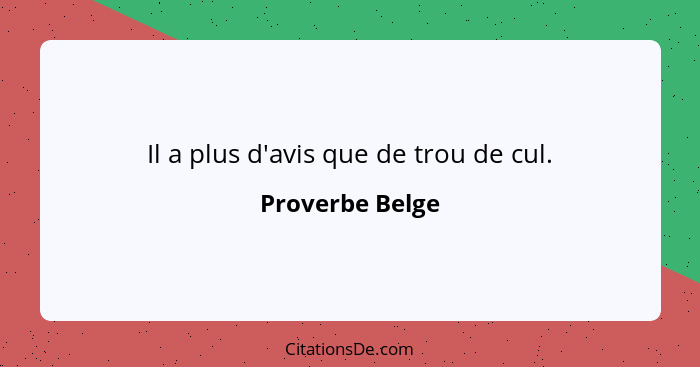 Il a plus d'avis que de trou de cul.... - Proverbe Belge