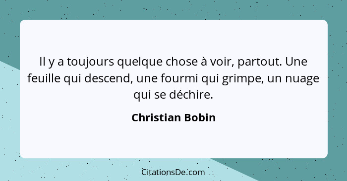 Il y a toujours quelque chose à voir, partout. Une feuille qui descend, une fourmi qui grimpe, un nuage qui se déchire.... - Christian Bobin