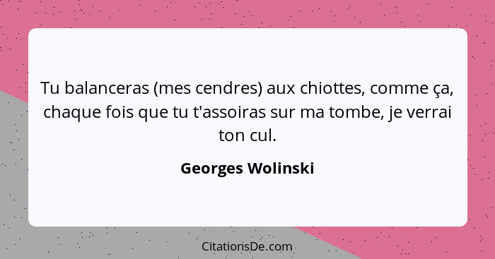 Tu balanceras (mes cendres) aux chiottes, comme ça, chaque fois que tu t'assoiras sur ma tombe, je verrai ton cul.... - Georges Wolinski