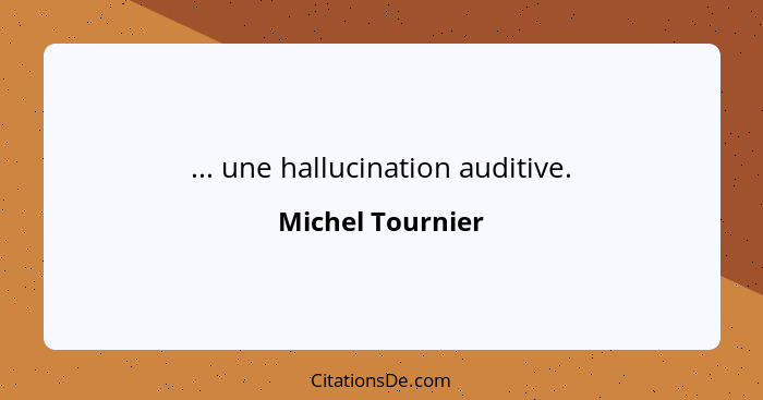 ... une hallucination auditive.... - Michel Tournier