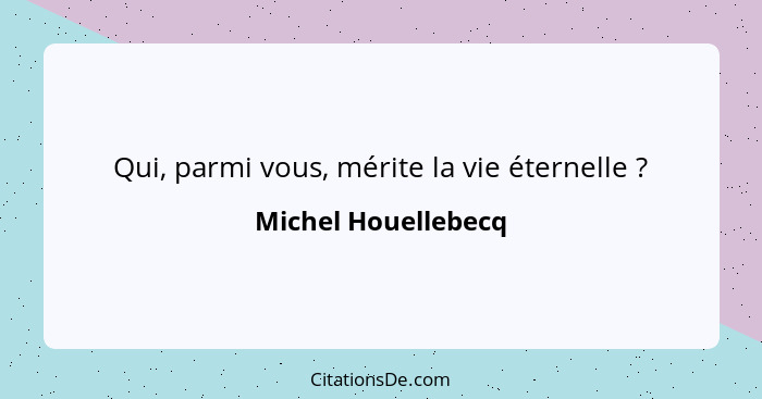 Qui, parmi vous, mérite la vie éternelle ?... - Michel Houellebecq
