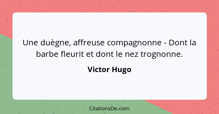 Une duègne, affreuse compagnonne - Dont la barbe fleurit et dont le nez trognonne.... - Victor Hugo