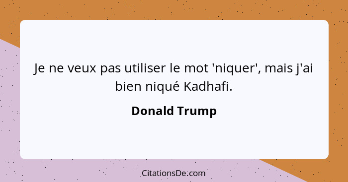 Je ne veux pas utiliser le mot 'niquer', mais j'ai bien niqué Kadhafi.... - Donald Trump