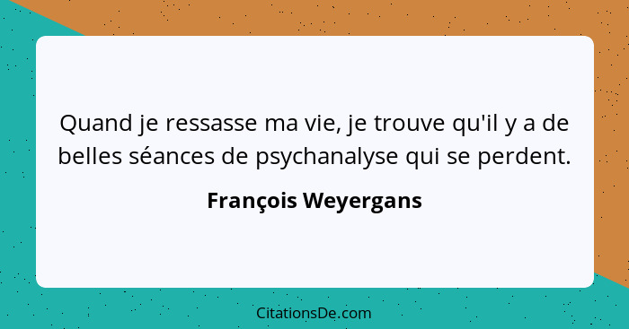 Quand je ressasse ma vie, je trouve qu'il y a de belles séances de psychanalyse qui se perdent.... - François Weyergans