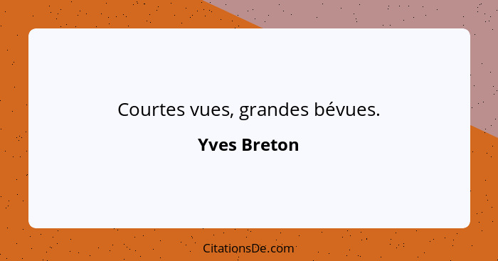 Courtes vues, grandes bévues.... - Yves Breton