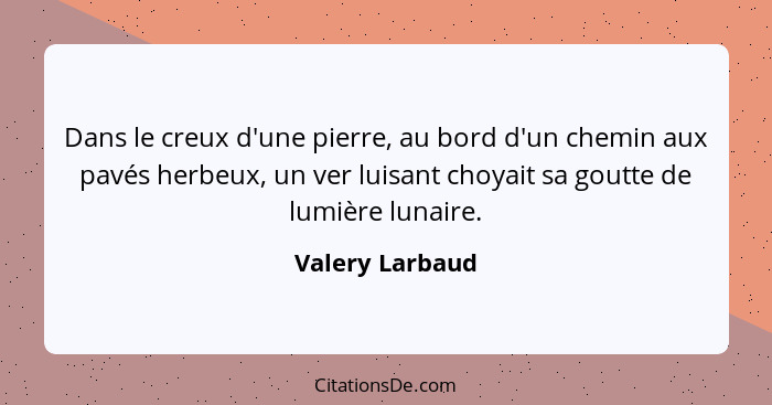 Dans le creux d'une pierre, au bord d'un chemin aux pavés herbeux, un ver luisant choyait sa goutte de lumière lunaire.... - Valery Larbaud