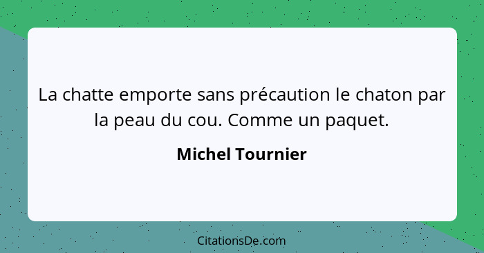 La chatte emporte sans précaution le chaton par la peau du cou. Comme un paquet.... - Michel Tournier