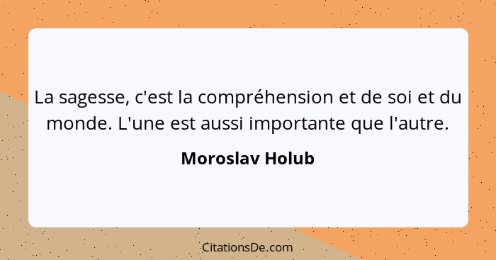 La sagesse, c'est la compréhension et de soi et du monde. L'une est aussi importante que l'autre.... - Moroslav Holub