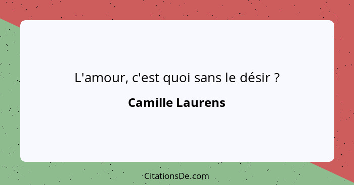 L'amour, c'est quoi sans le désir ?... - Camille Laurens