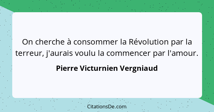 On cherche à consommer la Révolution par la terreur, j'aurais voulu la commencer par l'amour.... - Pierre Victurnien Vergniaud