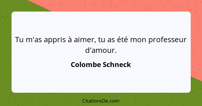 Tu m'as appris à aimer, tu as été mon professeur d'amour.... - Colombe Schneck