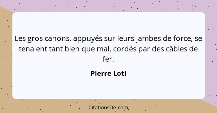 Les gros canons, appuyés sur leurs jambes de force, se tenaient tant bien que mal, cordés par des câbles de fer.... - Pierre Loti