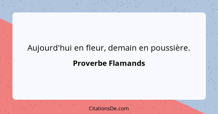 Aujourd'hui en fleur, demain en poussière.... - Proverbe Flamands