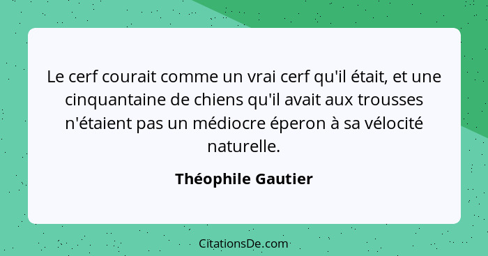 Le cerf courait comme un vrai cerf qu'il était, et une cinquantaine de chiens qu'il avait aux trousses n'étaient pas un médiocre é... - Théophile Gautier