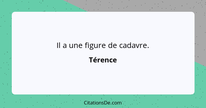 Il a une figure de cadavre.... - Térence