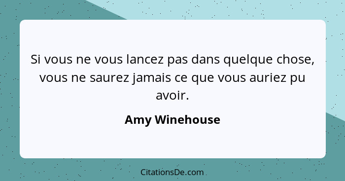 Si vous ne vous lancez pas dans quelque chose, vous ne saurez jamais ce que vous auriez pu avoir.... - Amy Winehouse