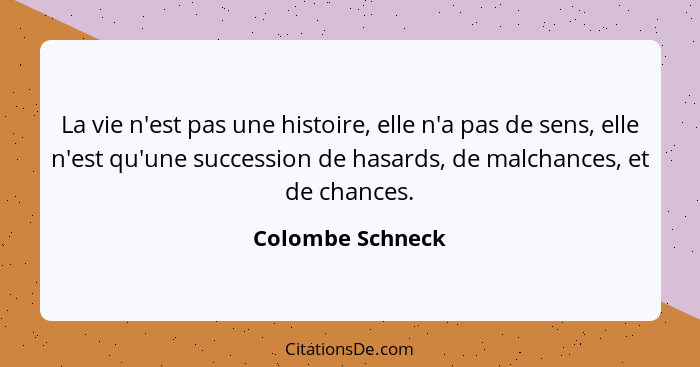 La vie n'est pas une histoire, elle n'a pas de sens, elle n'est qu'une succession de hasards, de malchances, et de chances.... - Colombe Schneck