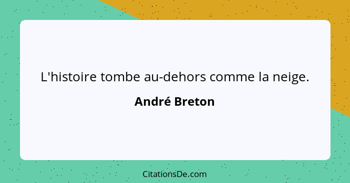 L'histoire tombe au-dehors comme la neige.... - André Breton