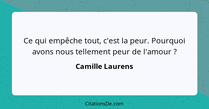 Ce qui empêche tout, c'est la peur. Pourquoi avons nous tellement peur de l'amour ?... - Camille Laurens