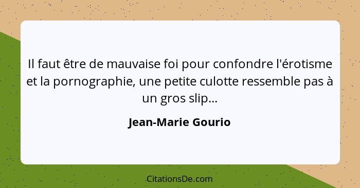 Il faut être de mauvaise foi pour confondre l'érotisme et la pornographie, une petite culotte ressemble pas à un gros slip...... - Jean-Marie Gourio