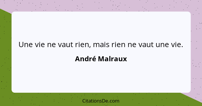 Une vie ne vaut rien, mais rien ne vaut une vie.... - André Malraux