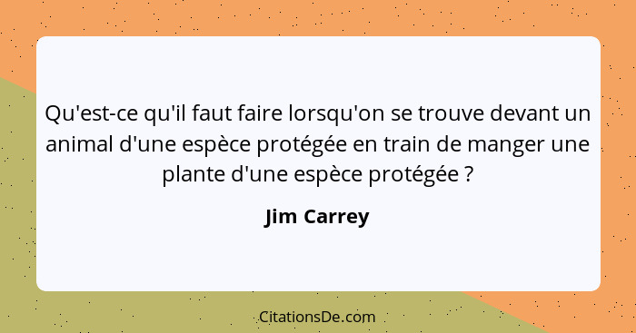 Qu'est-ce qu'il faut faire lorsqu'on se trouve devant un animal d'une espèce protégée en train de manger une plante d'une espèce protégée... - Jim Carrey