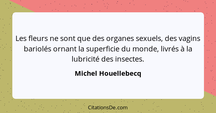 Les fleurs ne sont que des organes sexuels, des vagins bariolés ornant la superficie du monde, livrés à la lubricité des insectes... - Michel Houellebecq