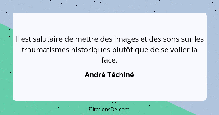 Il est salutaire de mettre des images et des sons sur les traumatismes historiques plutôt que de se voiler la face.... - André Téchiné