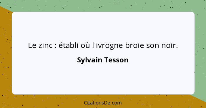 Le zinc : établi où l'ivrogne broie son noir.... - Sylvain Tesson