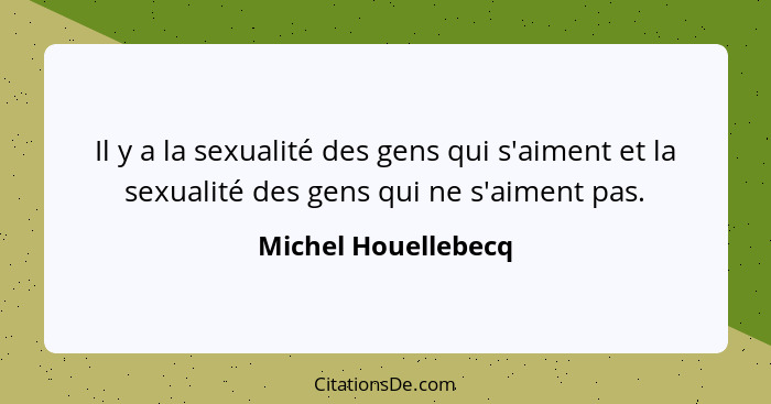 Il y a la sexualité des gens qui s'aiment et la sexualité des gens qui ne s'aiment pas.... - Michel Houellebecq