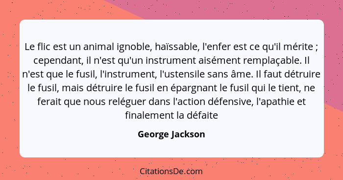 Le flic est un animal ignoble, haïssable, l'enfer est ce qu'il mérite ; cependant, il n'est qu'un instrument aisément remplaçabl... - George Jackson