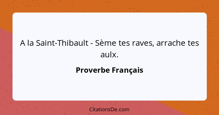 A la Saint-Thibault - Sème tes raves, arrache tes aulx.... - Proverbe Français