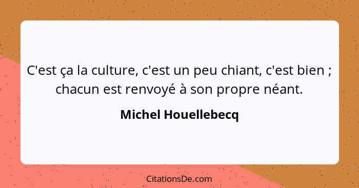 C'est ça la culture, c'est un peu chiant, c'est bien ; chacun est renvoyé à son propre néant.... - Michel Houellebecq