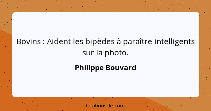 Bovins : Aident les bipèdes à paraître intelligents sur la photo.... - Philippe Bouvard