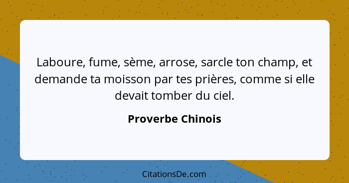 Laboure, fume, sème, arrose, sarcle ton champ, et demande ta moisson par tes prières, comme si elle devait tomber du ciel.... - Proverbe Chinois