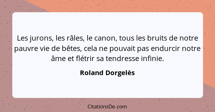 Les jurons, les râles, le canon, tous les bruits de notre pauvre vie de bêtes, cela ne pouvait pas endurcir notre âme et flétrir sa... - Roland Dorgelès