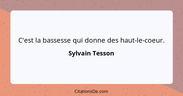 C'est la bassesse qui donne des haut-le-coeur.... - Sylvain Tesson