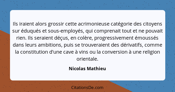 Ils iraient alors grossir cette acrimonieuse catégorie des citoyens sur éduqués et sous-employés, qui comprenait tout et ne pouvait... - Nicolas Mathieu