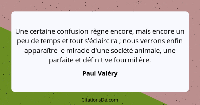 Une certaine confusion règne encore, mais encore un peu de temps et tout s'éclaircira ; nous verrons enfin apparaître le miracle d'... - Paul Valéry