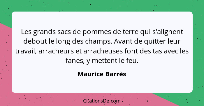 Les grands sacs de pommes de terre qui s'alignent debout le long des champs. Avant de quitter leur travail, arracheurs et arracheuses... - Maurice Barrès