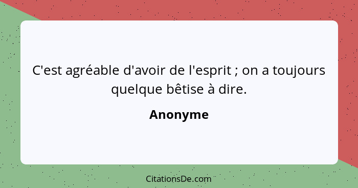 C'est agréable d'avoir de l'esprit ; on a toujours quelque bêtise à dire.... - Anonyme