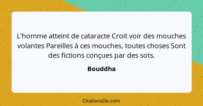 L'homme atteint de cataracte Croit voir des mouches volantes Pareilles à ces mouches, toutes choses Sont des fictions conçues par des sots.... - Bouddha