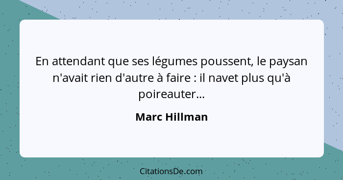 En attendant que ses légumes poussent, le paysan n'avait rien d'autre à faire : il navet plus qu'à poireauter...... - Marc Hillman