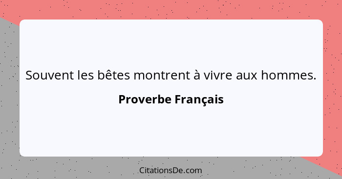 Souvent les bêtes montrent à vivre aux hommes.... - Proverbe Français