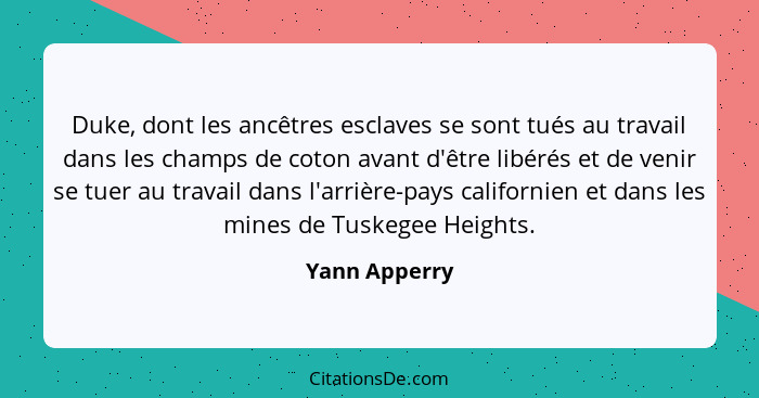 Duke, dont les ancêtres esclaves se sont tués au travail dans les champs de coton avant d'être libérés et de venir se tuer au travail d... - Yann Apperry