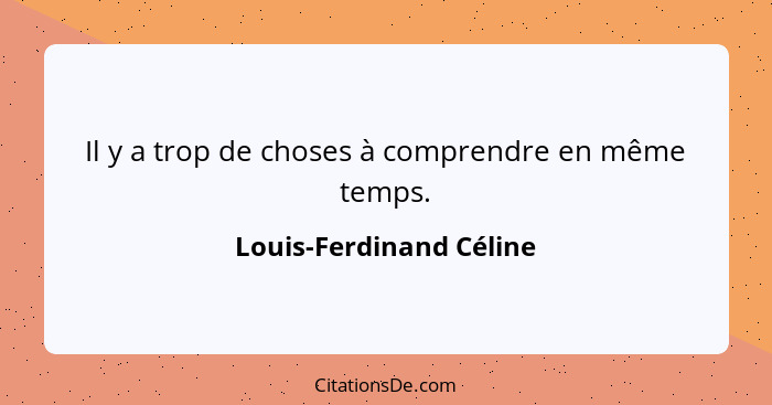 Il y a trop de choses à comprendre en même temps.... - Louis-Ferdinand Céline